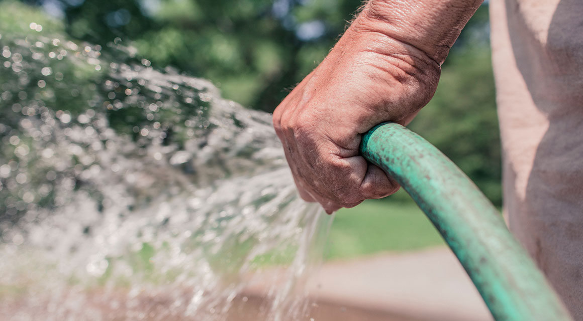 Haagplanten water geven