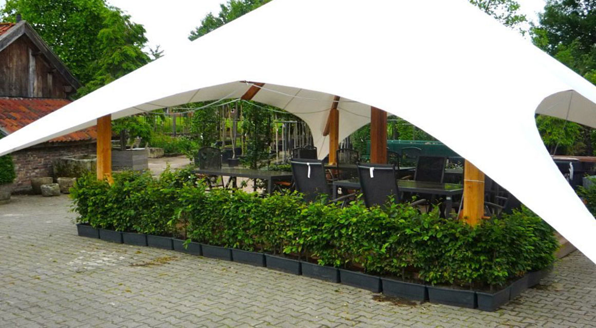 De juiste kant-en-klaarhaag voor uw tuinstijl