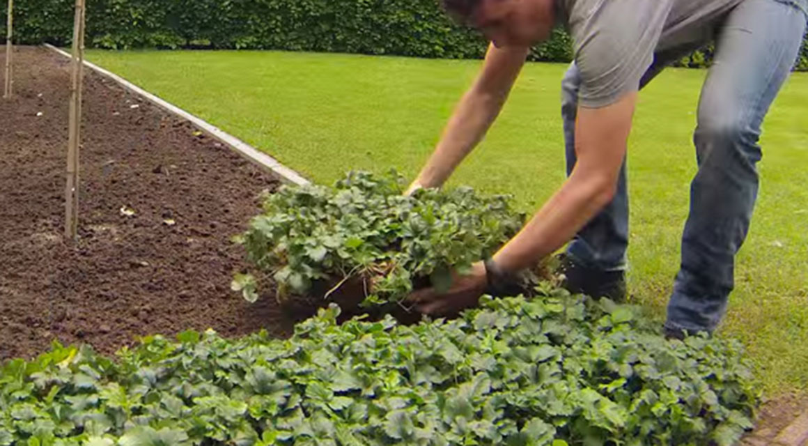 Niet meer zelf sjouwen
