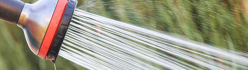 Taxus water geven